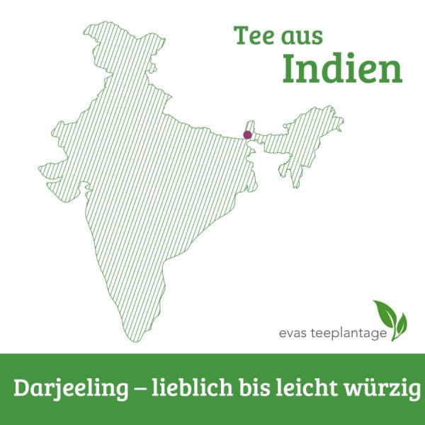 Tee aus Darjeeling, Indien