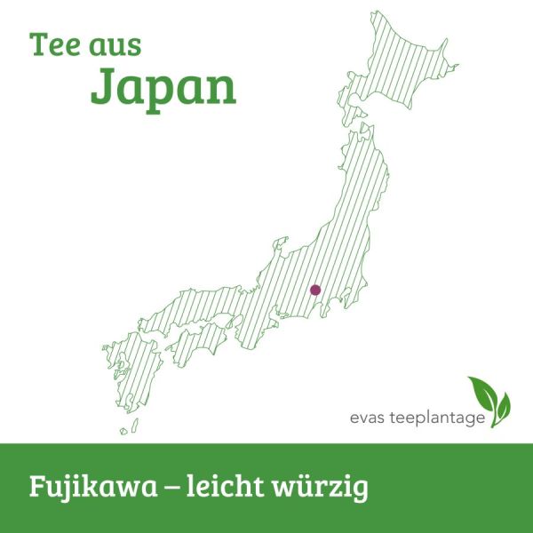 Grüntee aus Japan, Fujikawa