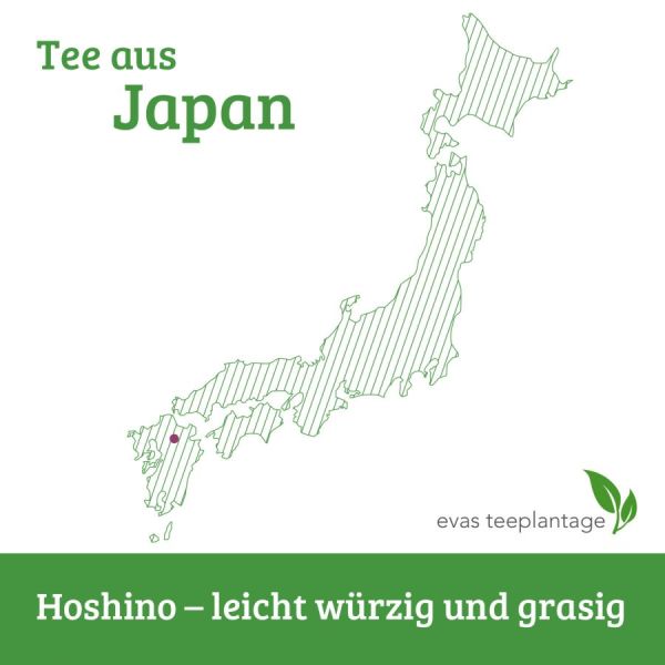 Grüntee aus Japan, Hoshino