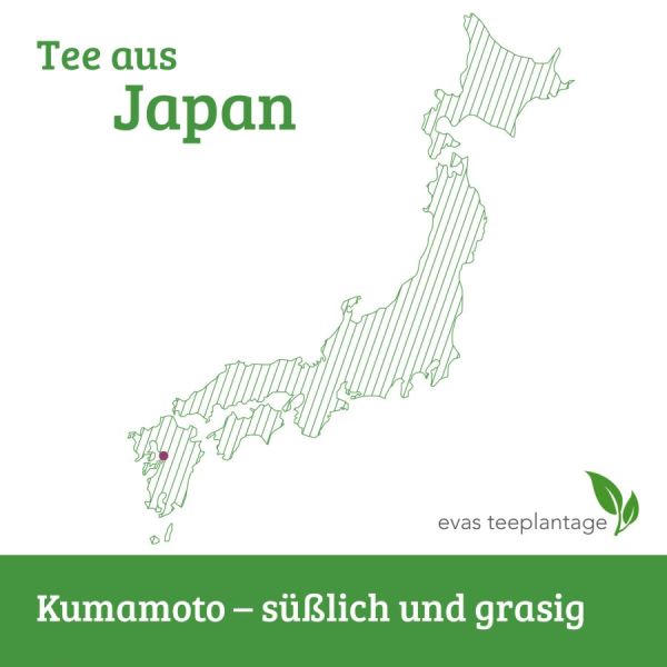 Tee aus Japan, Kumamoto