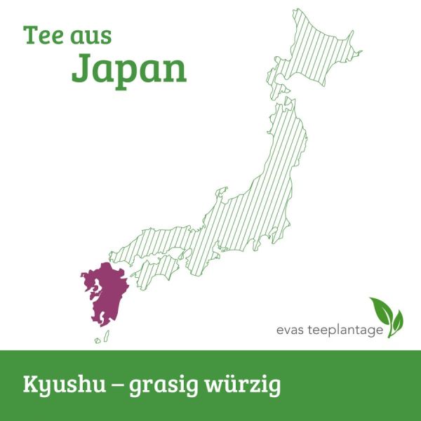 Tee aus Japan, Kyushu